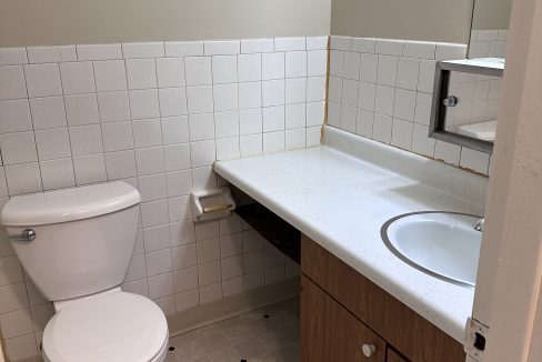1001 Oakcrest E10 bathroom
